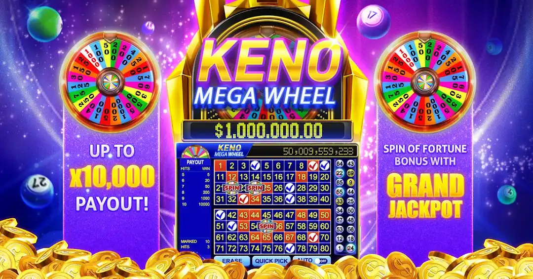 bet556 betf cassino on-line